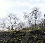 P5030023.jpg